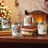 Merry Cranberry 3-Wick Jar Candle, 16 Oz. -Cheap Toys Series 1BGC1079