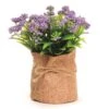 Purple No Petal Flower In Burlap Bag