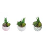 Faux Succulent Plant In Marbled Pot -Cheap Toys Series 70229 SF c74ab1d1 83f3 49c3 bd74 60b83cecf331