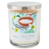 Hallmark Sea Salt Vanilla 3-Wick Jar Candle, 16 Oz. -Cheap Toys Series BGC1064 01