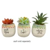 3" Free Spirit Faux Succulent In Ceramic Pot